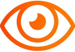 Vision
